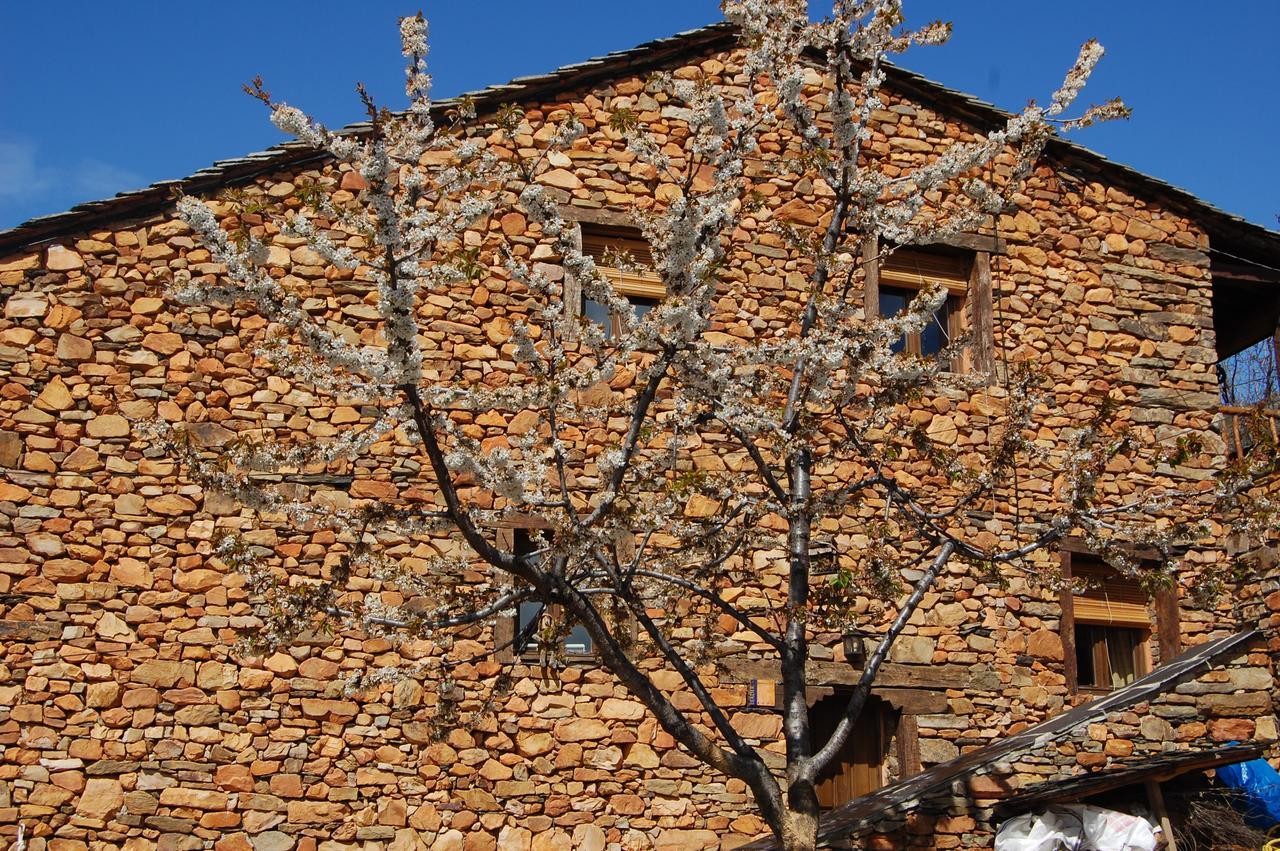 Apartamentos Turisticos La Alqueria De Valverde Valverde De Los Arroyos Buitenkant foto